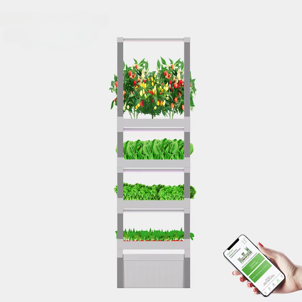 nt China Hydrokultur Grow Box  - Home Automation Systems Diy บทวิจารณ์และราคา