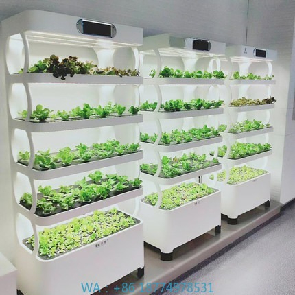 Iydroponic Automated Grow Syst - Home Automation Systems Diy บทวิจารณ์และราคา
