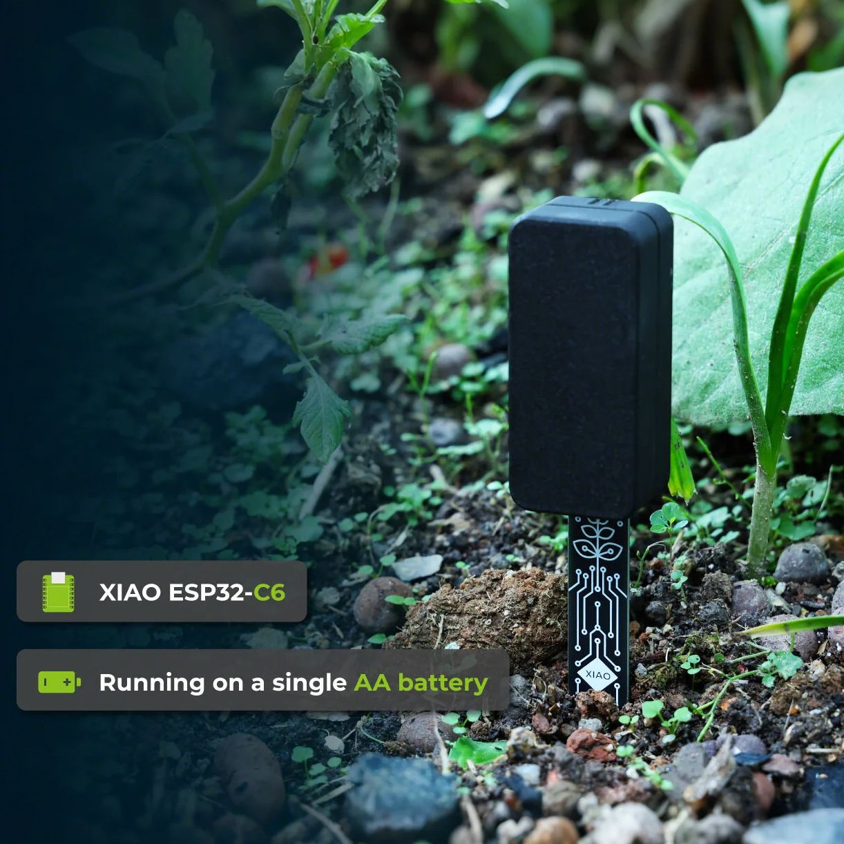 XIAO ESP32 C6 Soil Moisture Se - Home Automation Tutorial บทวิจารณ์และราคา