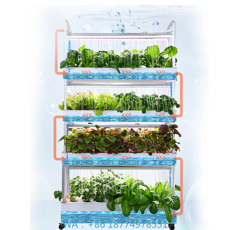 ydroponic Planting System Smar - Home Automation System Diy บทวิจารณ์และราคา