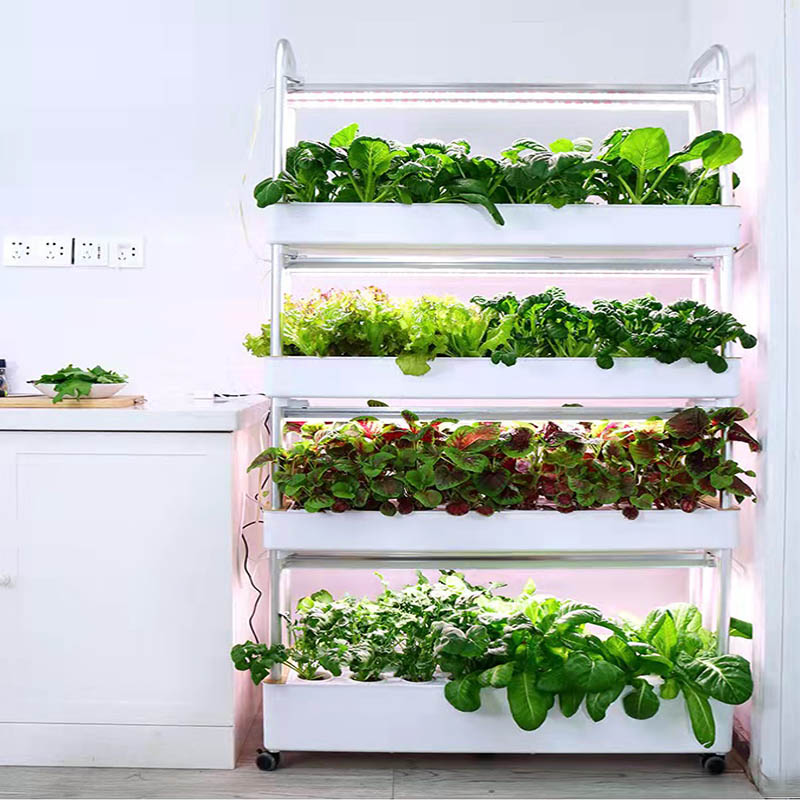ydroponic Planting System Smar - Home Automation System Diy บทวิจารณ์และราคา