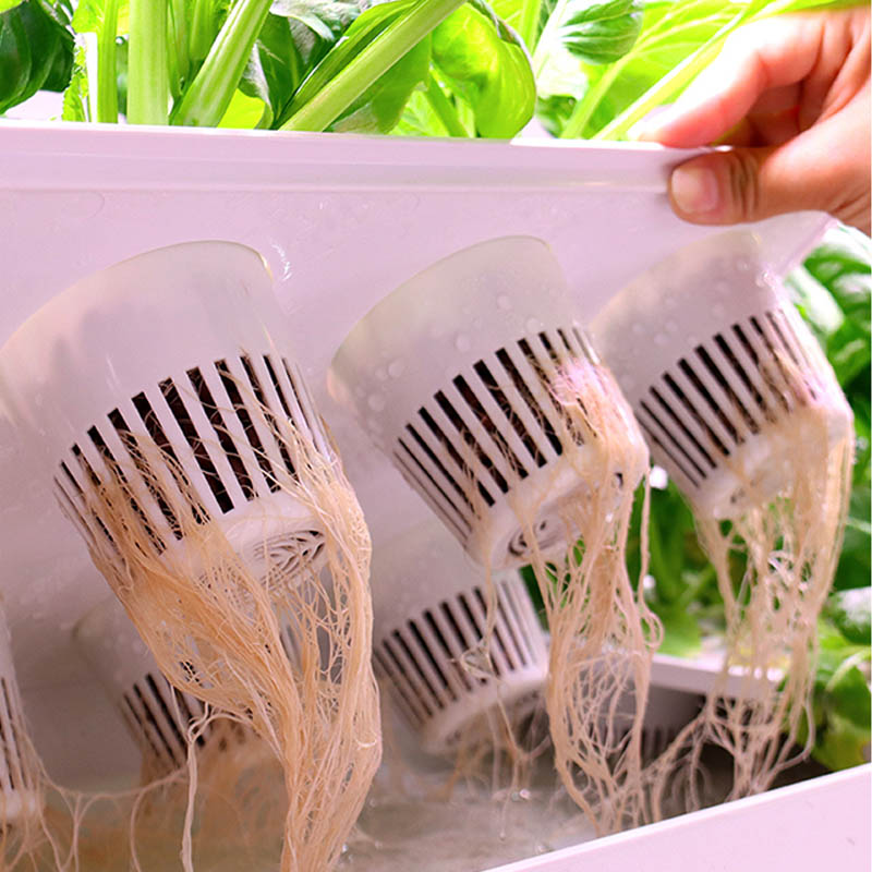 ydroponic Planting System Smar - Home Automation System Diy บทวิจารณ์และราคา