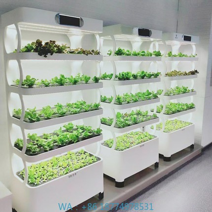 Hydroponic Automated Grow Syst - Home Automation Systems Diy บทวิจารณ์และราคา